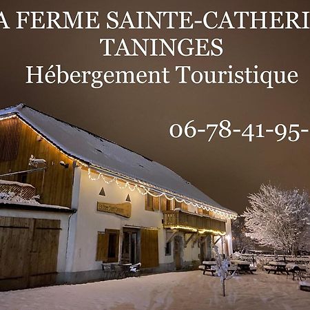 La Ferme Sainte Catherine Villa Taninges Exterior foto