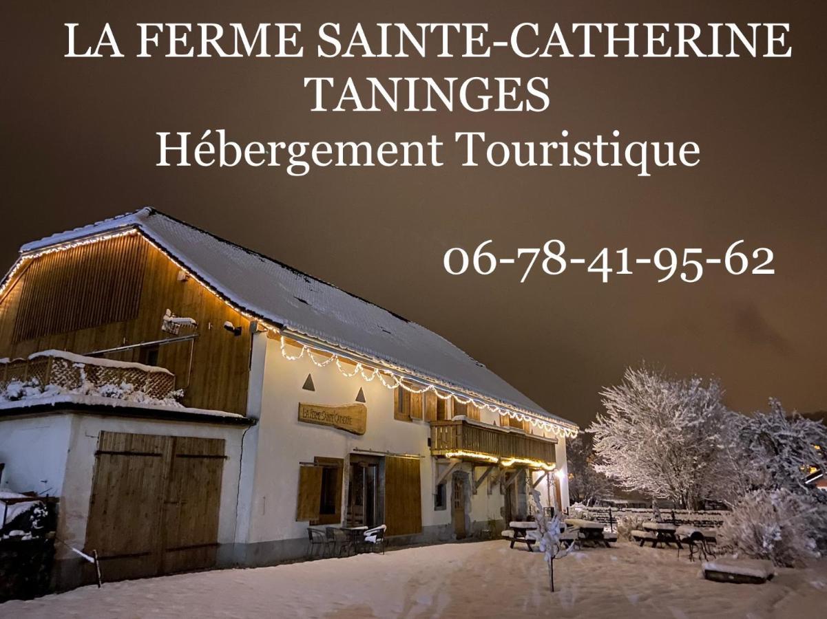 La Ferme Sainte Catherine Villa Taninges Exterior foto